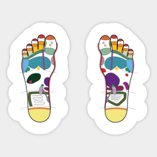 Foot Reflexology Map Sticker